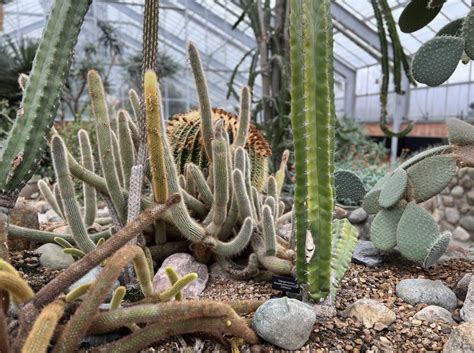 Day Tripping Ann Arbors Matthaei Botanical Gardens Conservatory