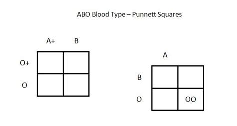 ABO Blood Types Punnett Squares Diagram Quizlet