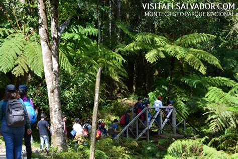 Parque Nacional Montecristo Te Lo Contamos Todo Visita El Salvador