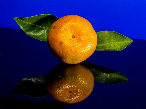 Orange Tangerine Citrus Free Photo On Pixabay Pixabay