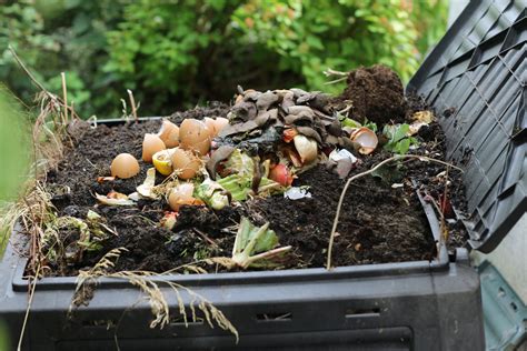 Basics Of Composting For Beginners Learn How To Compost From Start To