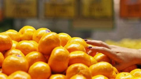 (regulation 6) food act 1983. Mandarin oranges do not contain sulphur dioxide: Health ...