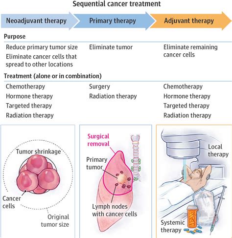 Adjuvant Therapy Or Adjuvant Treatment Definition Types Uses And Benefits