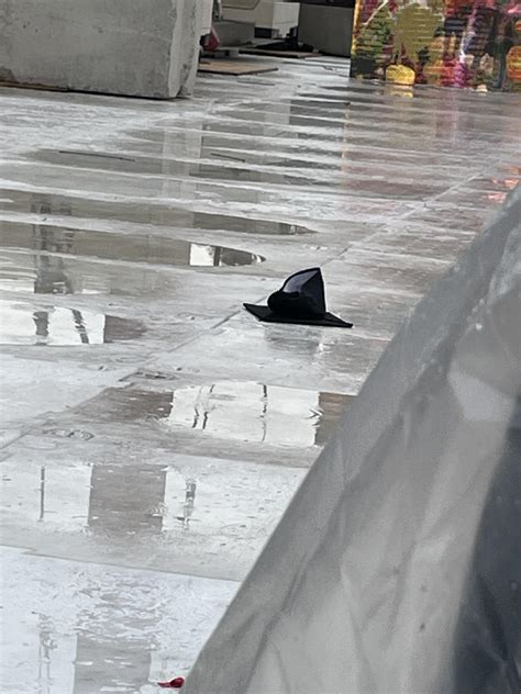 Feel like this picture I took encapsulates how graduation was : r/uofmn