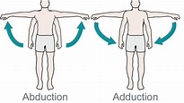 What is Abduction and Adduction? - YouTube