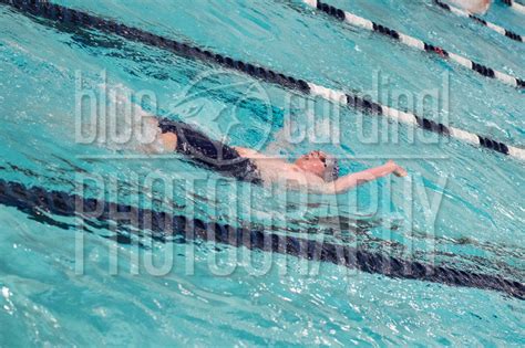 Blue Cardinal Photography Cchs Swimming