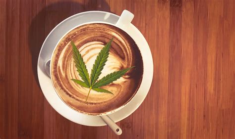La Fascinante Historia Del Café Y El Cannabis