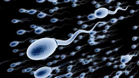 preventing male infertility 12 natural ways to make healthy sperm fox news