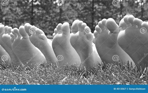 Black And White Feet Stock Image Image Of Domestic Outdoors 4513567