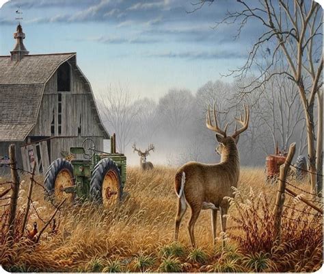Deer Wallpaper Wildlife Art Country Art