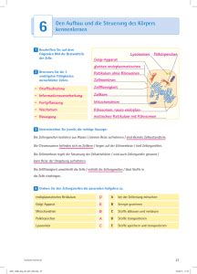 Dafür verantwortlich, dass die genetische information übertragen wird. studylibde.com - Essays, Hausaufgabenbetreuung, Lernkarten, Forschungsarbeiten, Buchbericht und ...