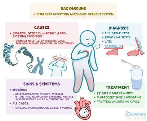 Dysautonomia What Is It Causes Signs Symptoms Diagnosis And More Osmosis