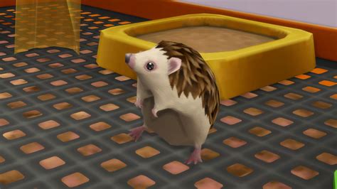 First Pet Stuff 14 Sims Online