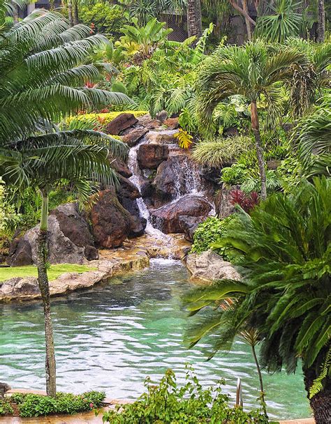 Tropical Garden Waterfall Photograph By Linda Phelps