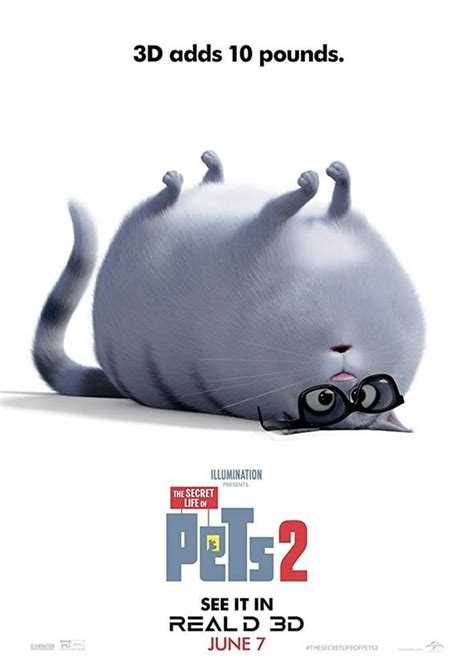 The secret life of bees. Secret Life of Pets 2 streaming: Can you watch Secret Life ...