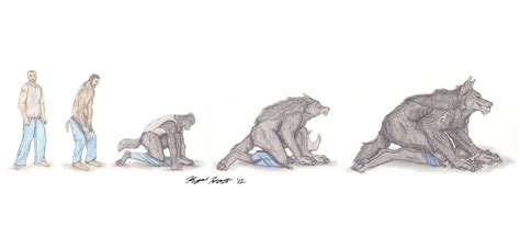 Wolf Man Transformation Sequence By Kigai Holt On DeviantArt Werewolf Furry Art Character Art