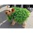 8 Easy And Adorable Halloween Costumes For Dogs  VetBabble