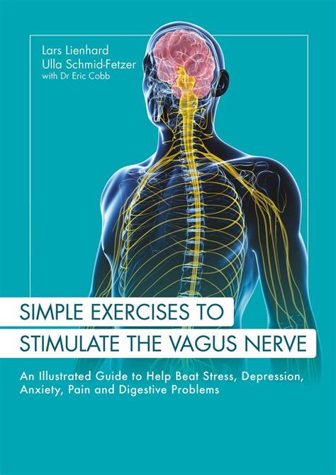 Simple Exercises To Stimulate The Vagus Nerve Cardinal Publishers Group Vagus Nerve