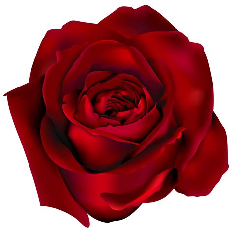 Red Roses Clip Art Clipart Best