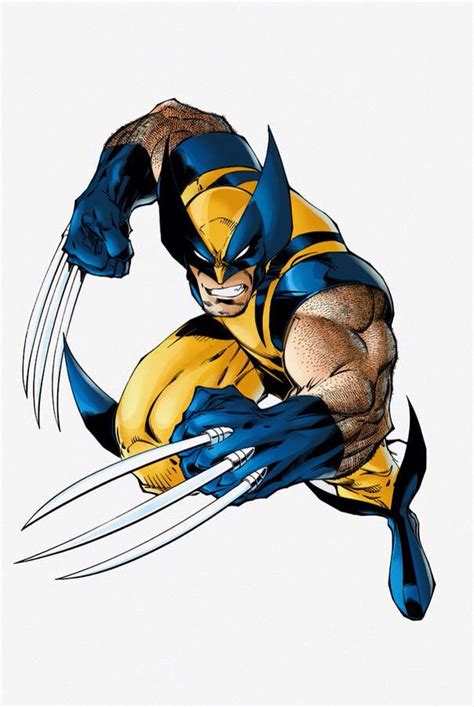 Wolverine Fighting Pose As He Is Drawn In A Lot Of Comics Wolverine