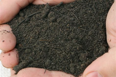 Natural Ericaceous Soil Specialist Soils Premium Topsoil Supplies