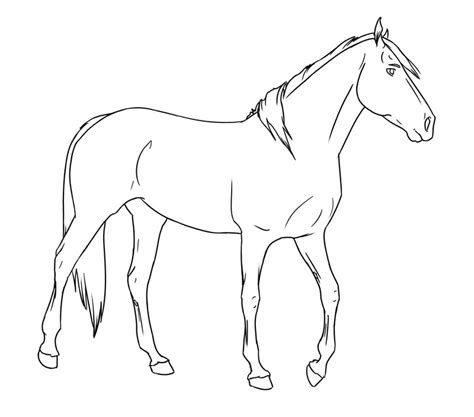 Some tips for printing these coloring pages: Palomino horse coloring pages download and print for free