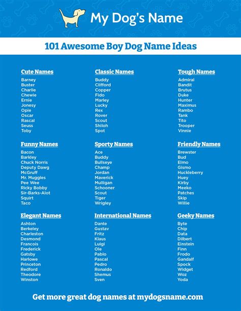 101 Boy Dog Name Ideas My Dogs Name