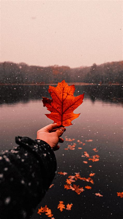 1366x768px 720p Free Download Hello Autumn Aesthetic Fall Social