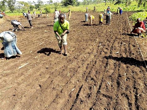 Uganda Farming Classes Transform Refugees Into Entrepreneurs