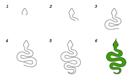 How To Draw An Easy Snake Step By Step Drawing Photos