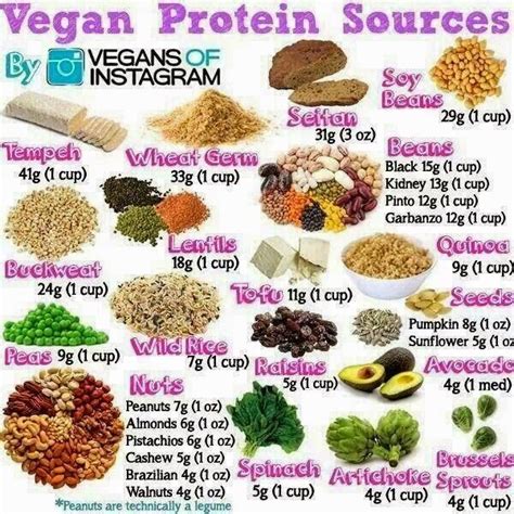 4.1 pound (pack of 1). Vegan Proteins