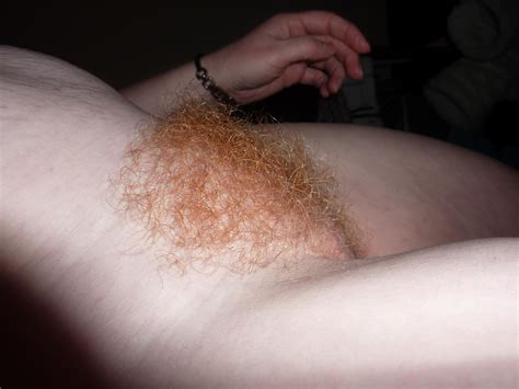 Gbrhwhp403 Porn Pic From Ginger Bush Redheads With