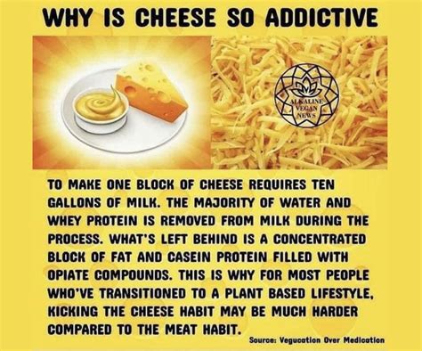 Why Is Cheese So Addictive