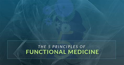 The 5 Principles Of Functional Medicine Clinical Nutrition Centers