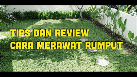 We did not find results for: TIPS & REVIEW CARA MERAWAT RUMPUT TAMAN - YouTube