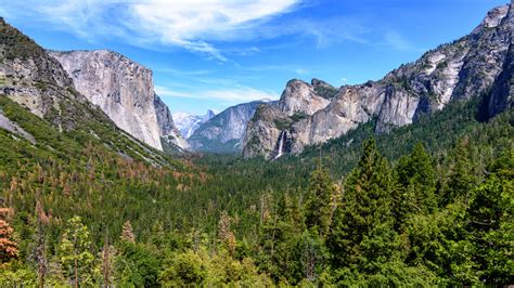 Wallpaper Yosemite Valley Mountains Landscape Forest Trees