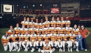 RobVogt80s: Houston Astros of the ‘80s, Part three: National League ...