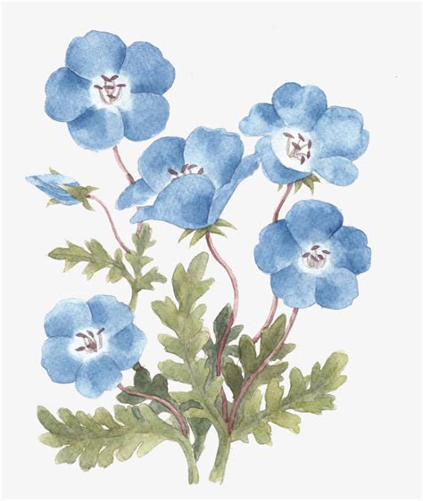 Blue Flower Drawing Images Blue Flowers Drawing At Getdrawings
