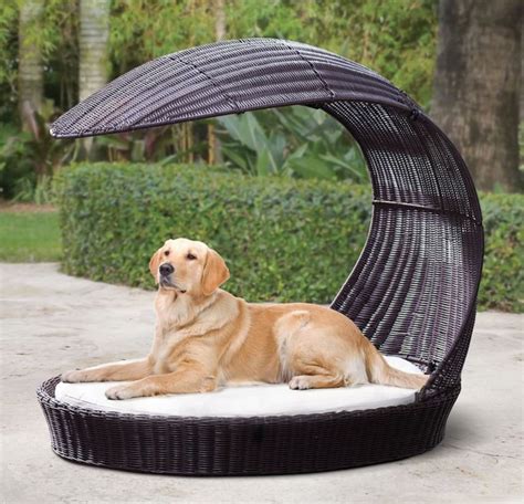 It also has pvc pipe legs for durability. Luxury Outdoor Canine Furniture : dog lounge