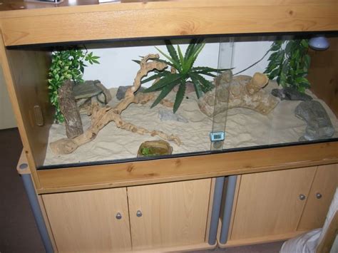 Maybe you would like to learn more about one of these? I want a front opening enclosure | Bearded dragon terrarium, Bearded dragon enclosure, Bearded ...