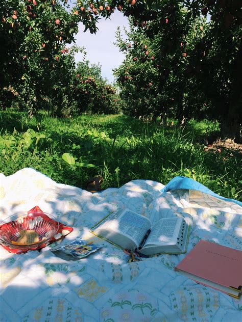 Apple Orchard Picnic Ideas Vsco Picnic Inspiration Country