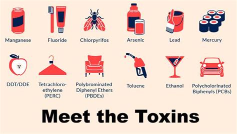 Types Of Toxins Austin Texas Functional Medicine And Nutrition