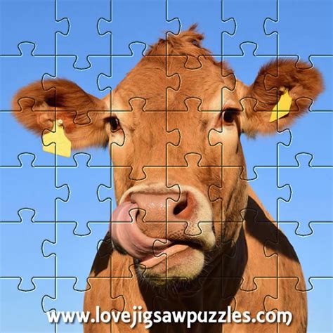 Farm Animal Jigsaw Puzzles Free Online Jigsaws From The Farm
