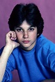 Ralph Macchio 80s _ Ralph Macchio 80s | Ralph macchio the outsiders ...