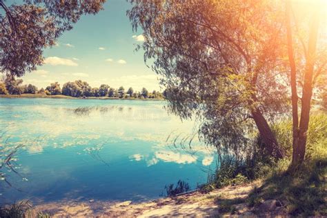 The Shore Of The Lake On A Bright Sunny Day Stock Photo Image Of Blue