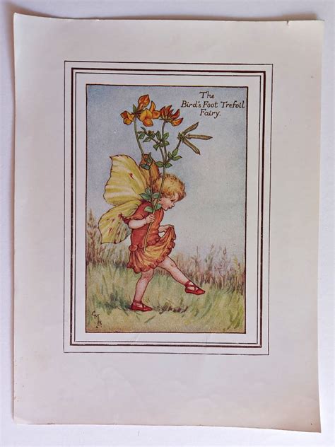 Birds Foot Trefoil Vintage Fairy Print Flower Fairy Prints