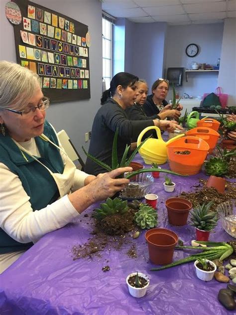 Atlantic Health Leading The Way In Healing Arts Final Touch Plantscaping
