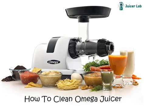 How To Clean Omega Juicer Everything You Need To Know