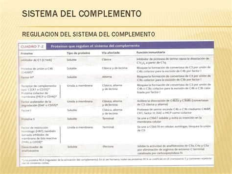 Sistema Del Complemento Funciones Del Complemento Componentes Del