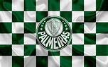Download Logo Soccer Sociedade Esportiva Palmeiras Sports 4k Ultra HD ...
